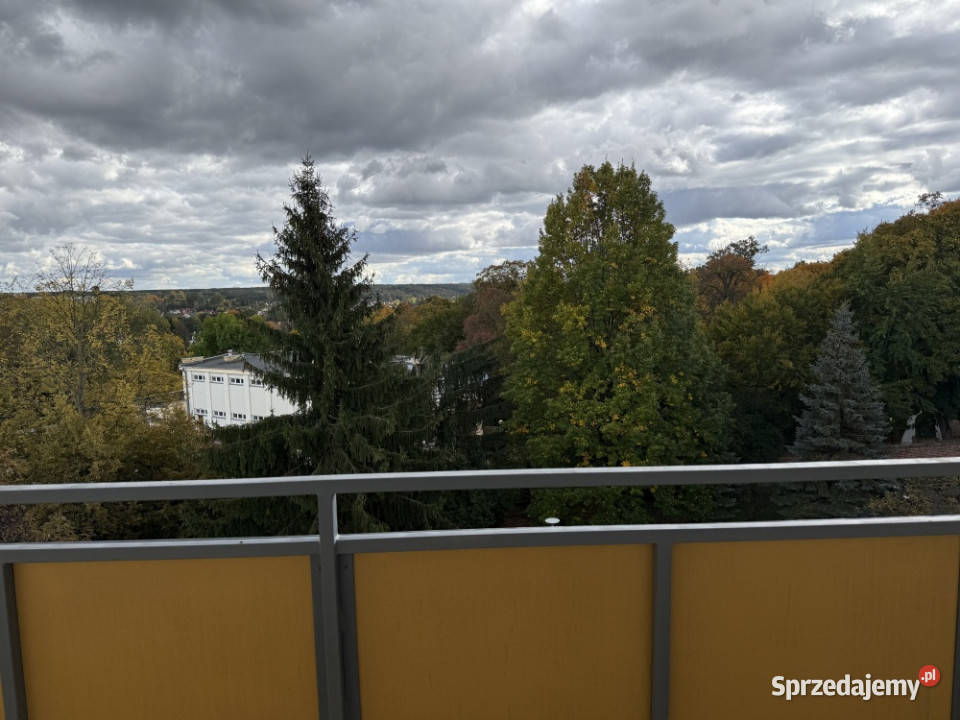 Sprzedam mieszkanie w Puławach parku balkon Sprzedaż Puławy