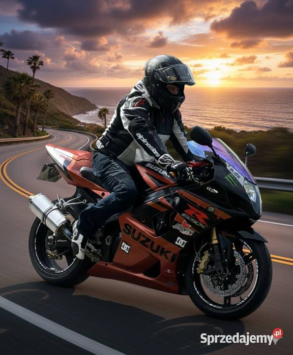 Suzuki gsxr 1000 k3 k4 Suzuki