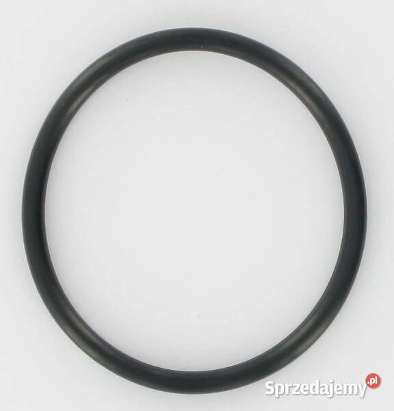 Pierścień uszczelniający oring 690589 Kamionna