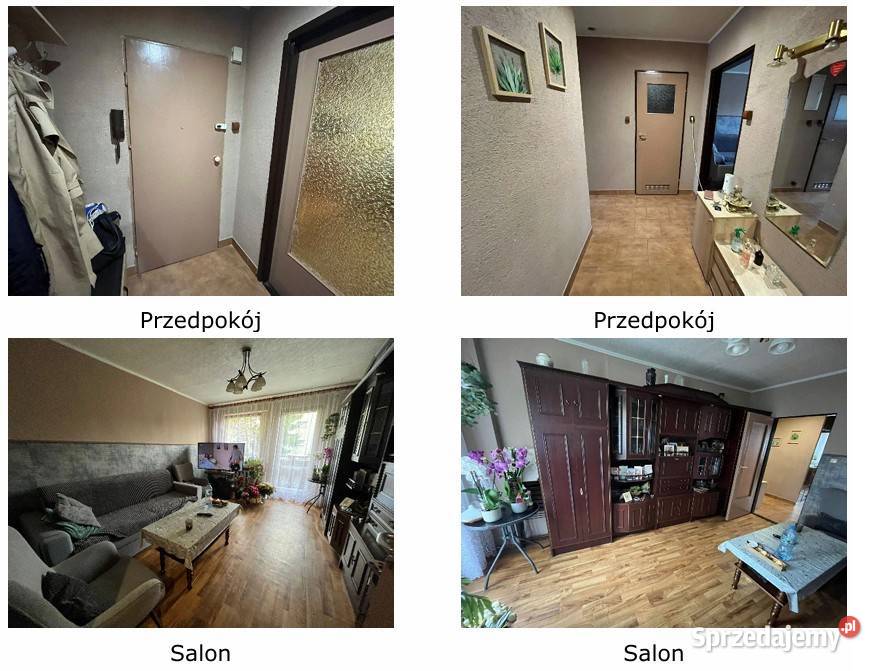 Syndyk sprzeda udział w prawie własności Katowice