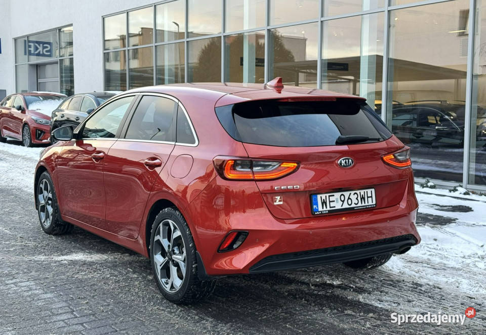 Kia Nowy Ceed 14 TGDI 140 Business Line Toruń sprzedam
