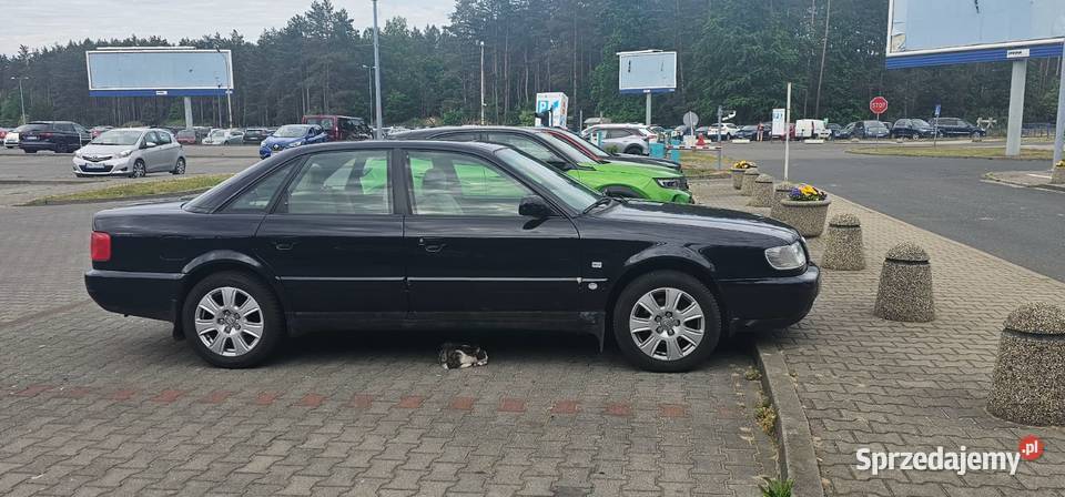 Audi A6 C4 25 TDI KLASYK PASJONATA AUTO GODNE 4/5 Białogard sprzedam