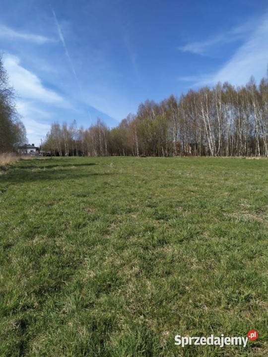 Działka budowlana 3942 m Myszków spokojna śląskie