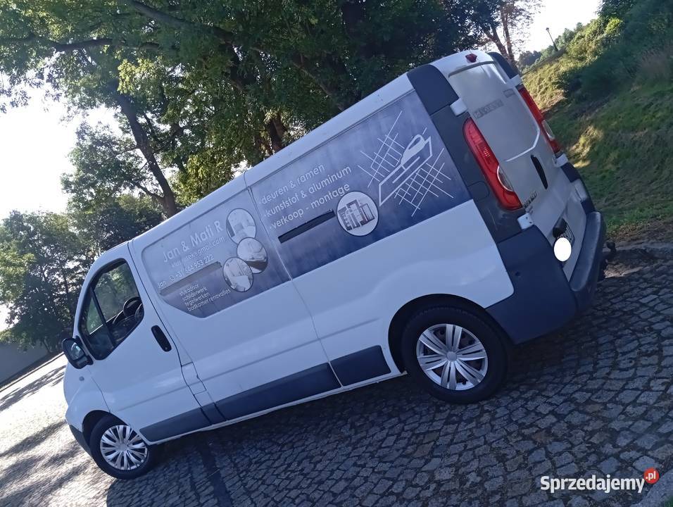 TRAFIC LONG 20 DCI LIFT KLIMA SPRAWNY ZAREJESTR Gostynin