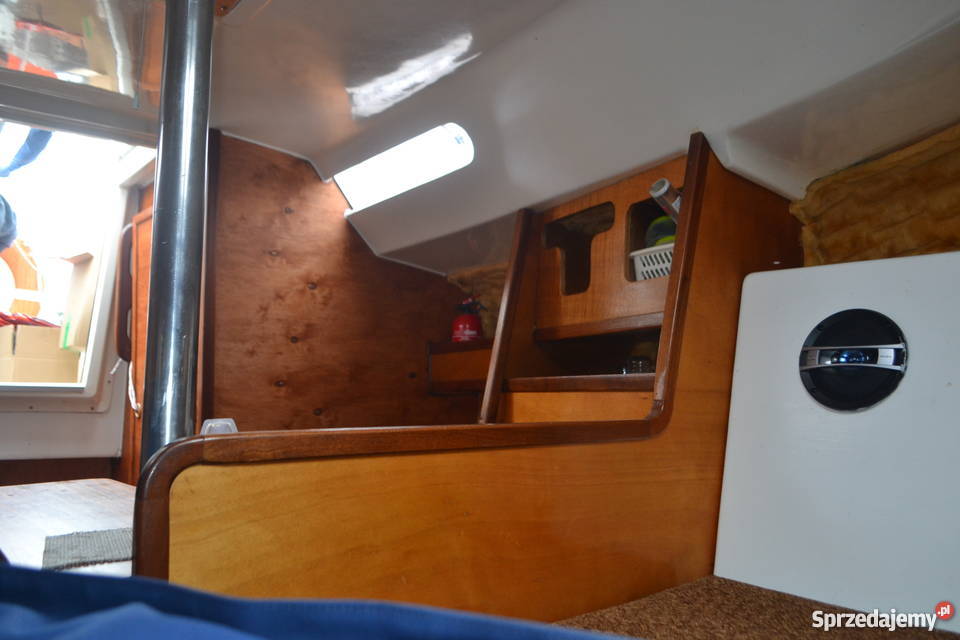 Sasanka 650 Mazurek Iława