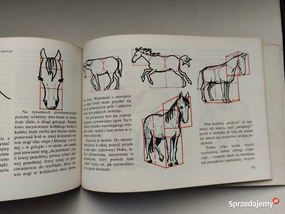 Poradnik rysowania i malowania obrazów Książka Poradniki, albumy i reportaże