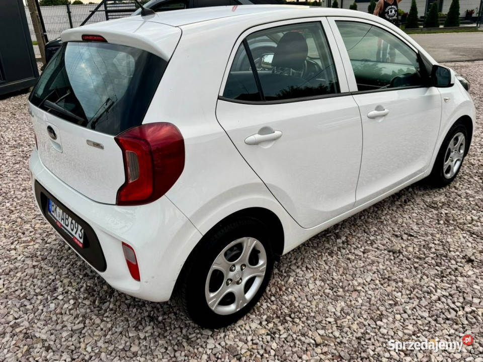 Kia Picanto Kia Picanto Super Stan Nowy Model Szerominek