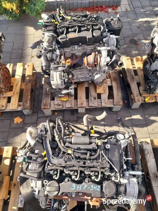 SILNIK 16 HDI 9HZ 9HX 9H01 9H02 Pleszew