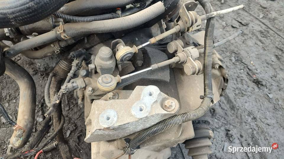 Manualna skrzynia biegów Opel Vectra C lift 19 osobowe Skrzynie biegów manualne wielkopolskie