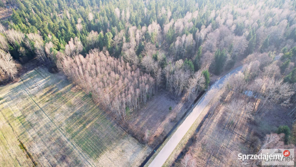 Sprzedam grunt 30288 metrów Ciosmy 3zł/m2 sprzedam