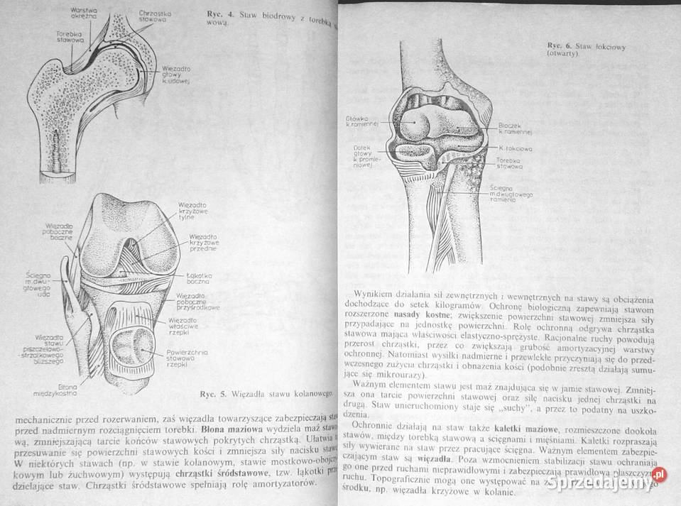 Ćwiczenia usprawniajace w uszkodzeniach kości i Chełm