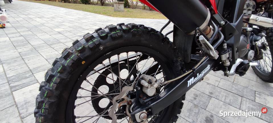 Sprzedam Malagutii xtm Dzierzązna