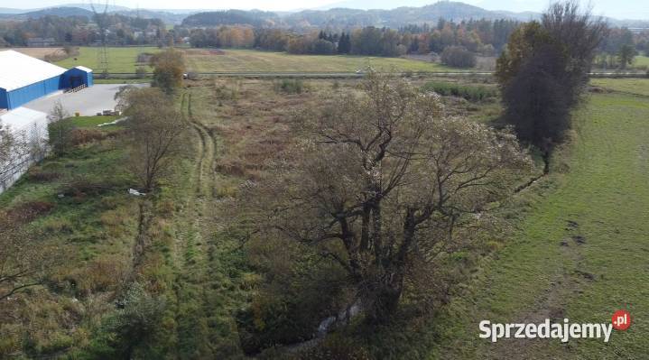 działka inwestycyjna z halą namiotową 57030m2 Jelenia Góra