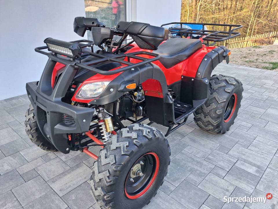 Quad 250 Bashan Tuchów