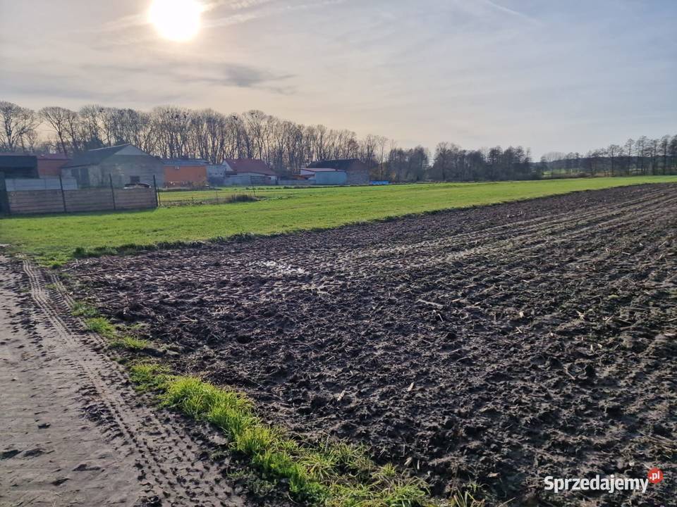 Działki rolne klasy IVV Biskupice gm Grodziec Biskupie