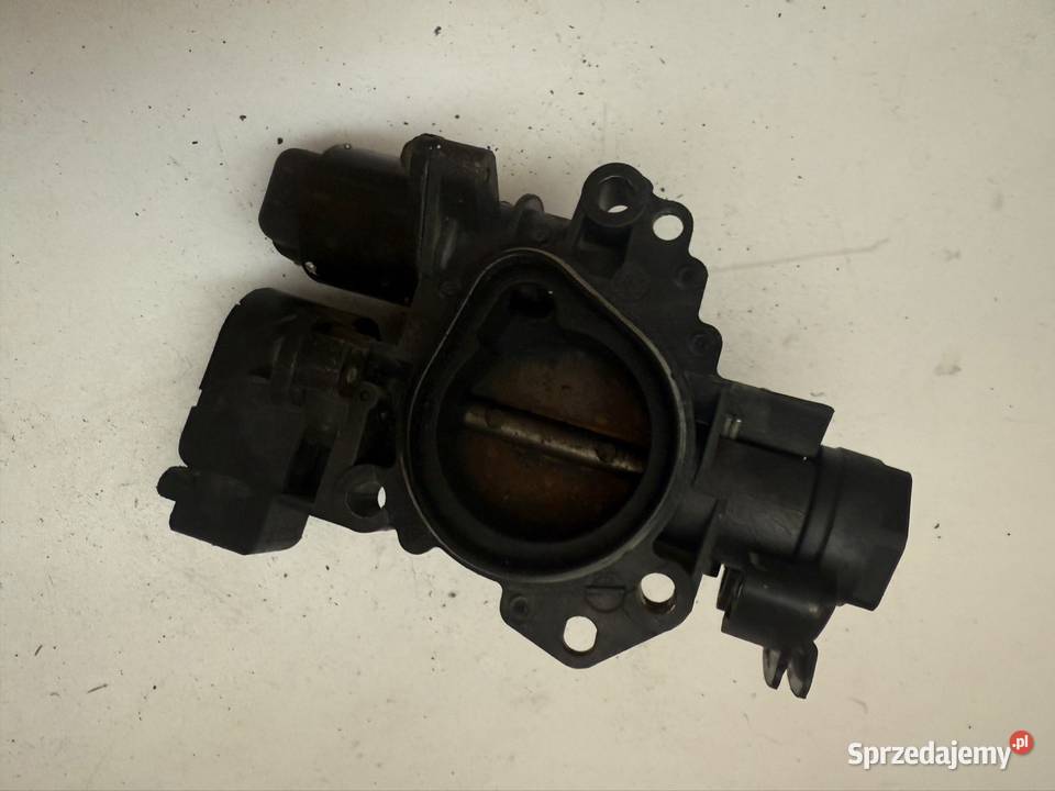 Przepustnica Peugeot 206 11 wielkopolskie sprzedam