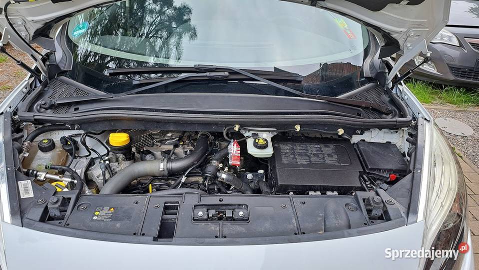 Renault Scenic 12 TCe Energy Bose Edition Goczałkowice-Zdrój