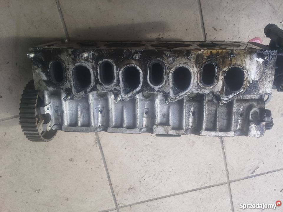 NISSAN PRIMERA p12 19dci głowica osobowe zachodniopomorskie Dębno