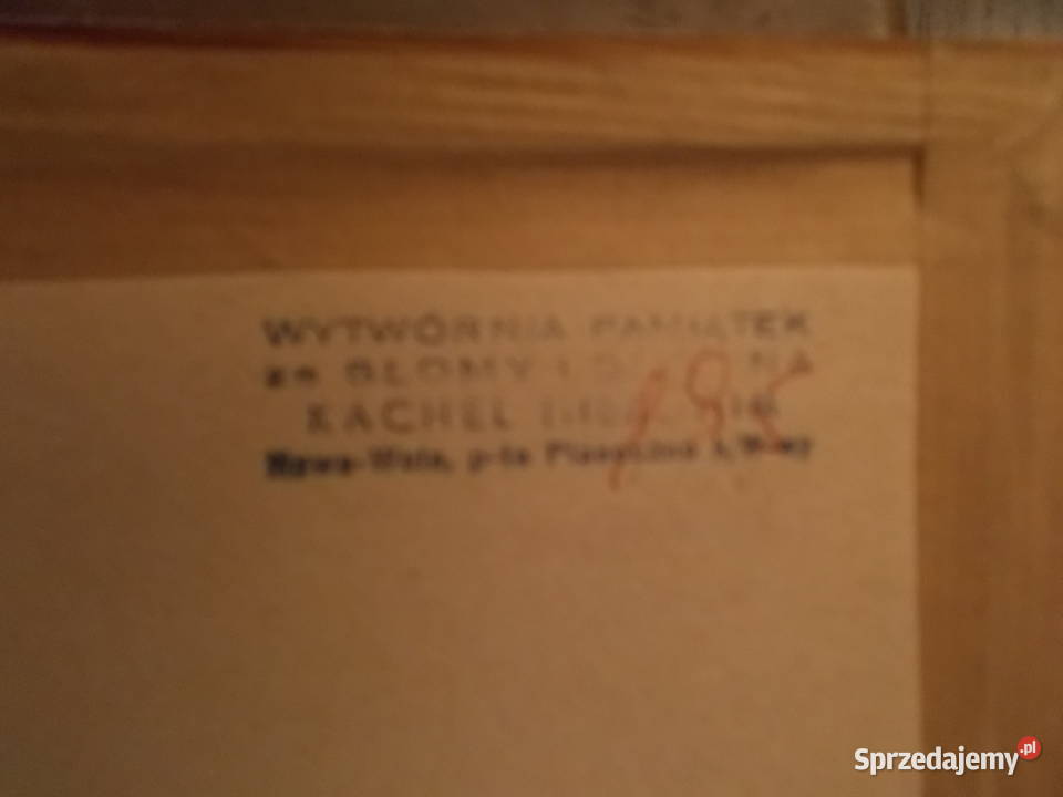 Obraz Warszawa Łazienki Prasowana Słoma PRL Szczecin