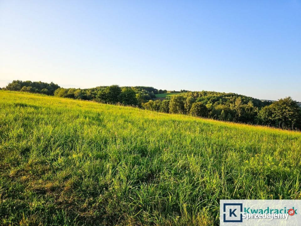 Grunt sprzedam Lutcza 44800m podkarpackie