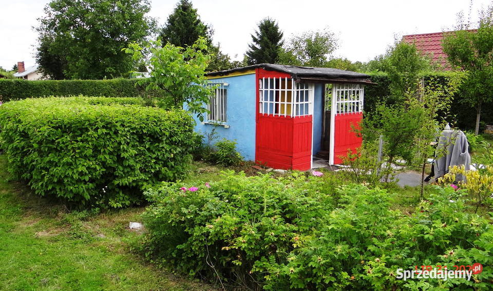 Działka ROD Piła 448m2 w centrum Zbycie prawa Pozostałe