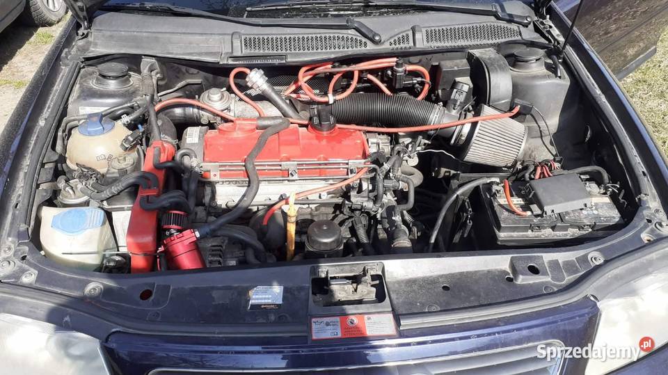 Audi a3 8l Łowisko