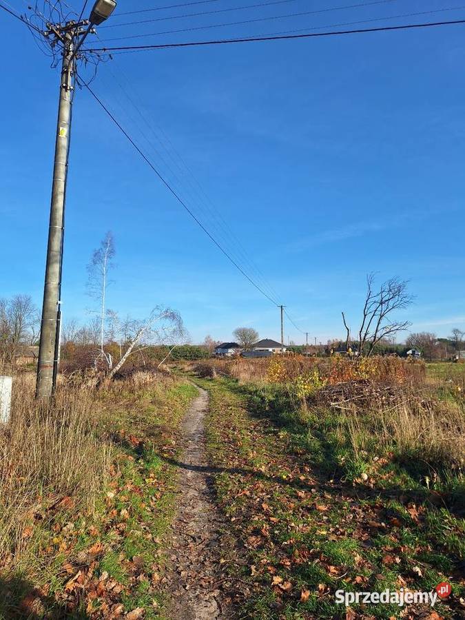 Budzyń Przytyki sprzedam działkę