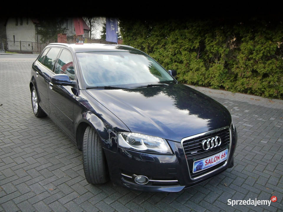 Audi A3 18 Qattro Led Xenon Bezwypadkowy Stan z gniazdo USB A3 Częstochowa
