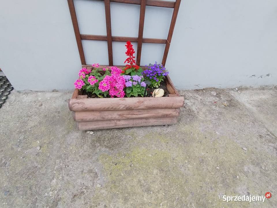 Huśtawka ogrodowa Żnin