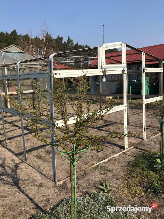 Sprzedam działkę ROD Oborniki