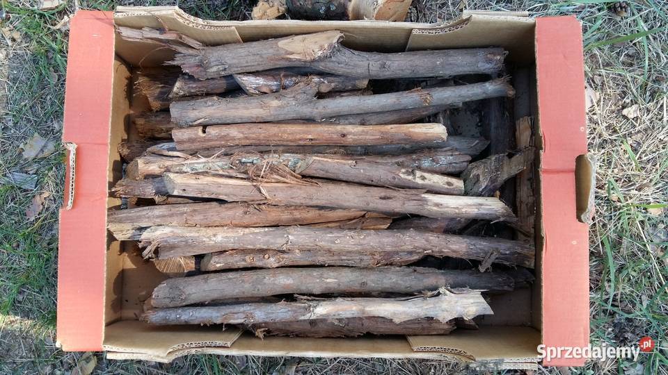 Drewno Jałowca Suche do wędzenia aromatyczne Marki sprzedam