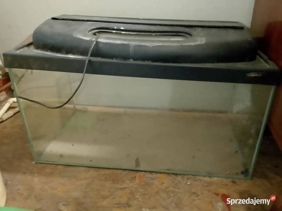 posiadam 2 akwarium na sprzedaż