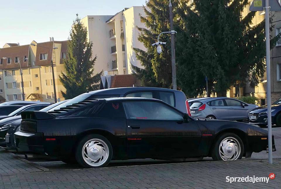 Zaluzja na tylna szybe do 3generacji Camaro i Warszawa sprzedam