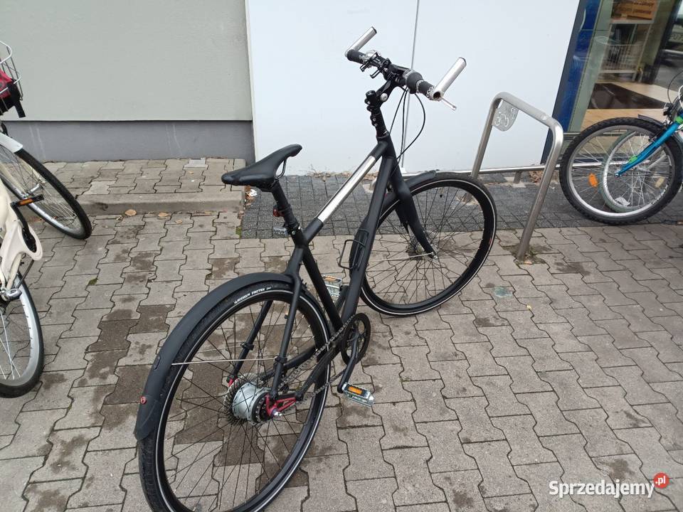 Giant lubelskie Puławy