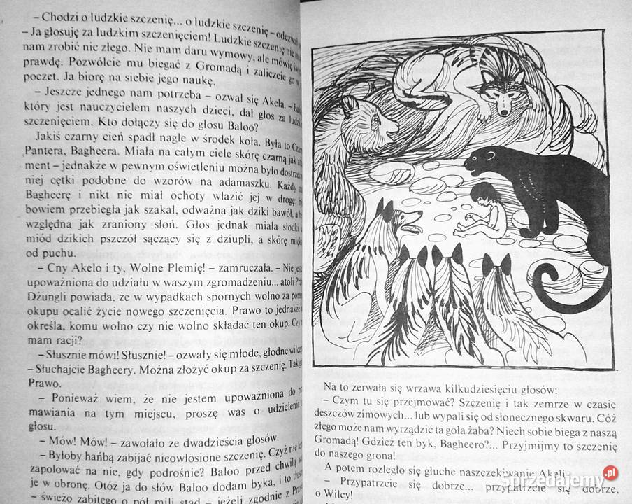 Księga dżungli Rudyard Kipling Rok wydania 1986 Chełm sprzedam