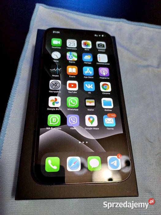 iPhone 12 Pro Max 256Gb