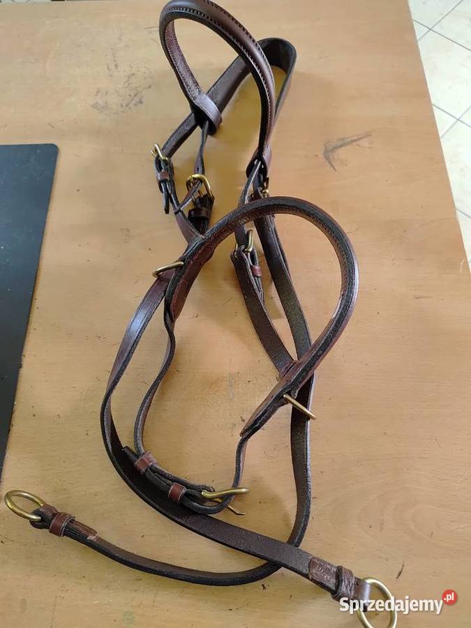 OGŁOWIE BEZWĘDZIDŁOWE BRĄZOWE S mazowieckie