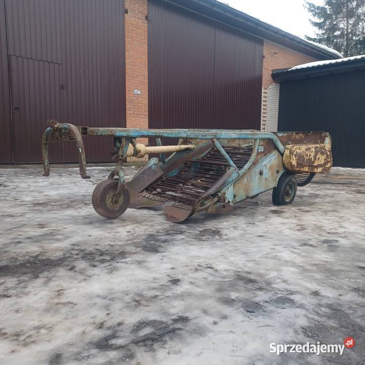 Kopaczka elewatorowa do ziemniaków lubelskie sprzedam
