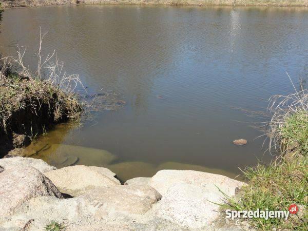 SIEDLISKO STAW budynek Wyrzyki