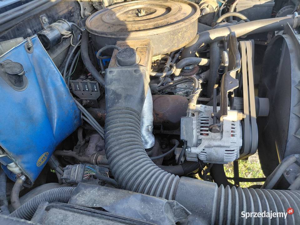 Dodge Dakota 39b 1991 klasyka motoryzacji kujawsko-pomorskie Ciechocinek
