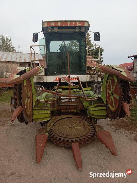 Sieczkarnia Claas Jaguar 695 LS Bargłów Kościelny