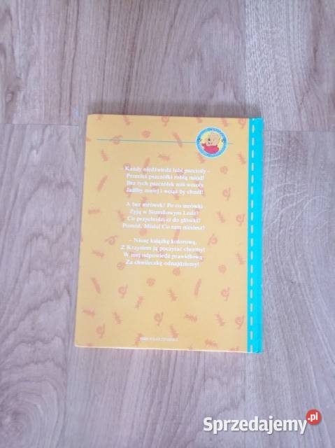 Piknik w Stumilowym Lesie KSIĄŻKA Chorzów