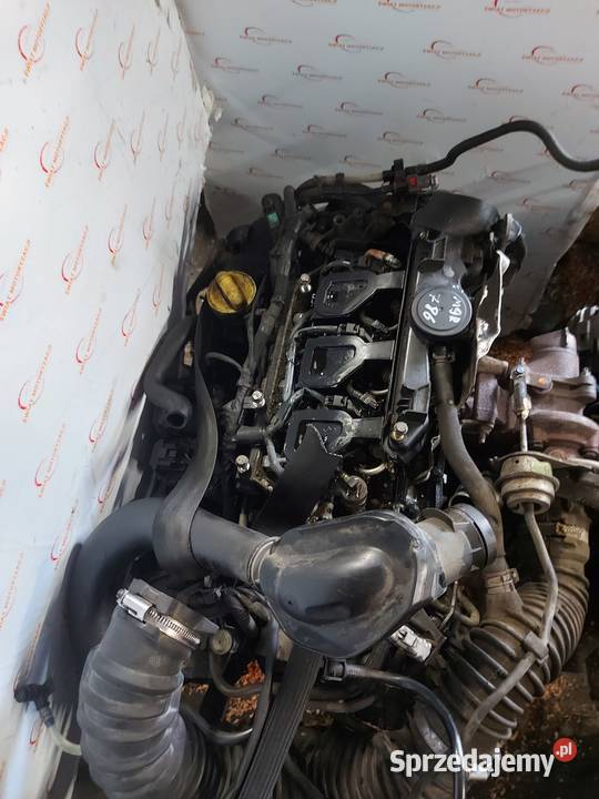 TRAFIC VIVARO 20 DCI M9R786 11r 114 171 silnik Kielce