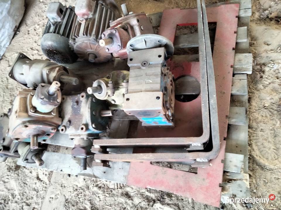 Widły czołownica widlaka mazowieckie Zbuczyn