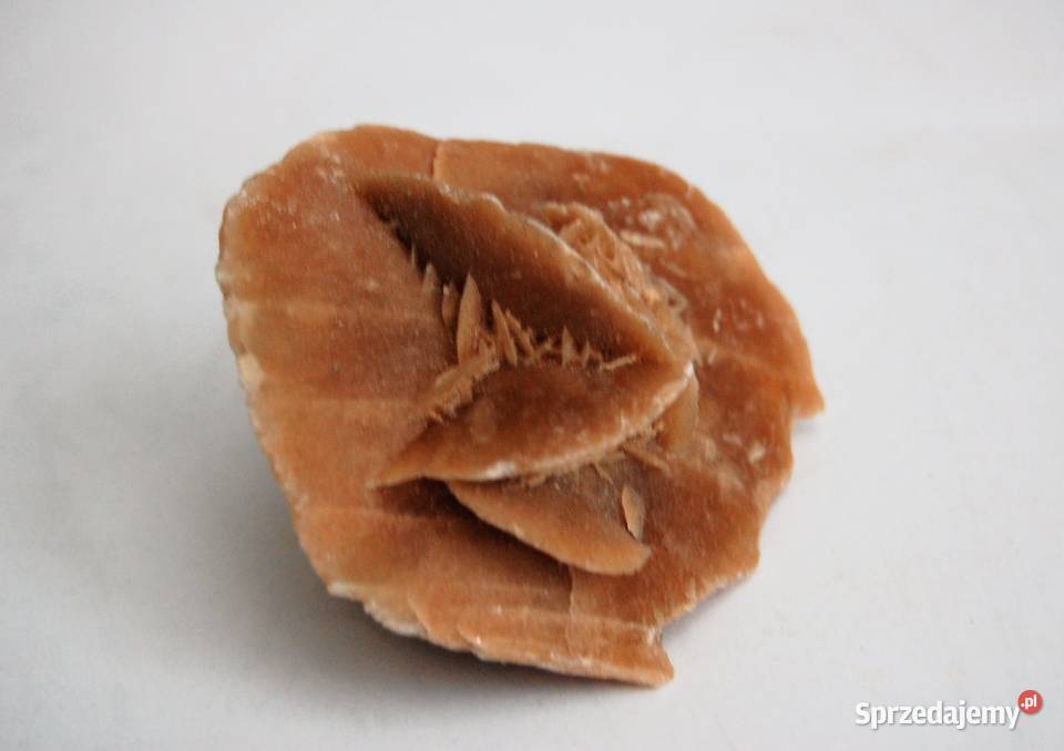 Róża pustyni kamień Sahara 83 lubelskie