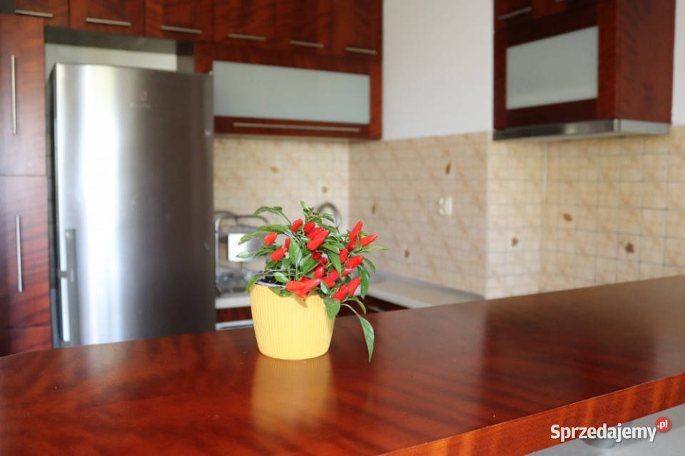 studio w spokojnej okolicy 342m2 37m2 Mieszkania sprzedam