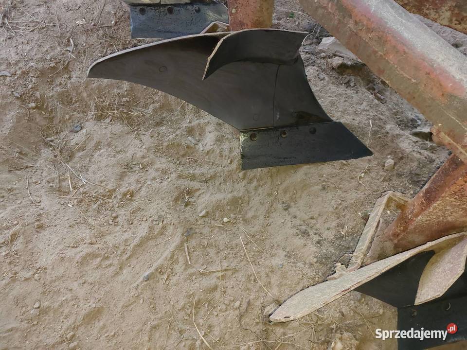 Plug 4 skibowy Lechia