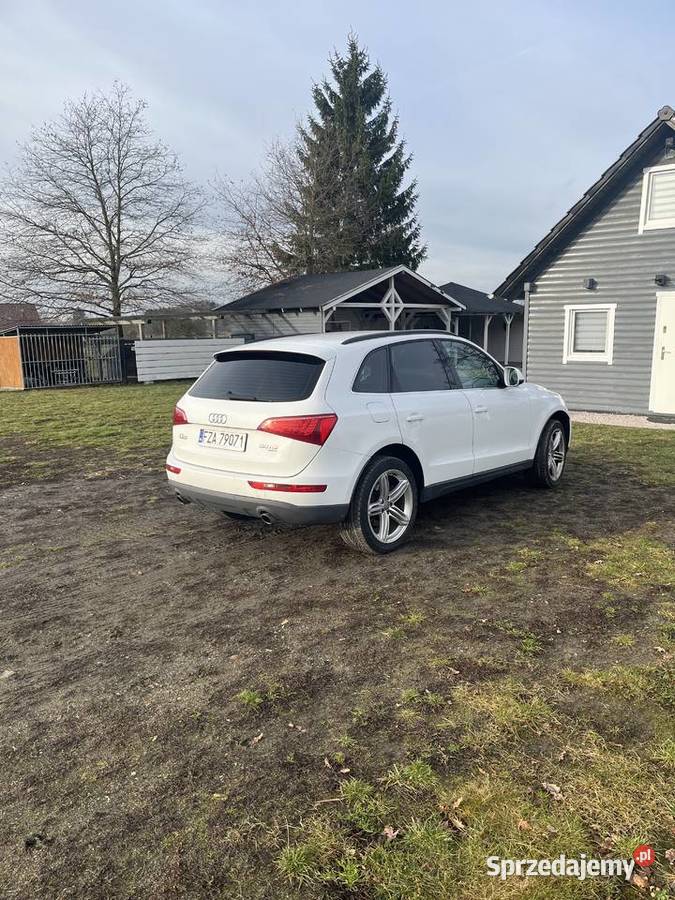 Audi Q5 30 quatro Rok produkcji 2009 lubuskie Żary