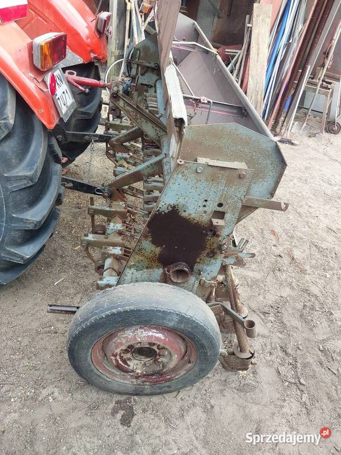 Sprzedam siewnik poznaniak wielkopolskie Licheń Stary