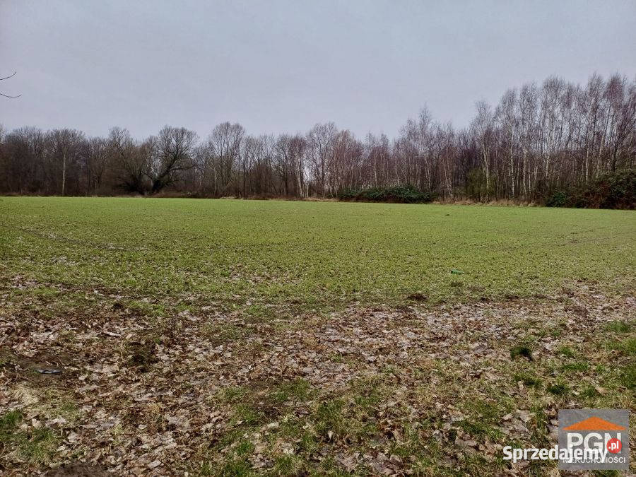 Grunt Kamień Pomorski 15371m2 15371m2